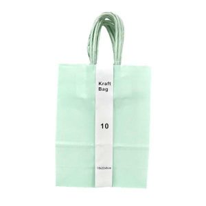 Gift Bags | 10 Pack Mint Green Kraft Bag – 16Cm X 22Cm X 8Cm Gift Bags Gift Bags