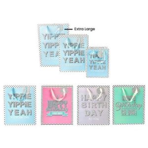 Gift Bags | Pastel Colour Hbd Xl Gift Bag – 30Cm X 42Cm X 12Cm Gift Bags Gift Bags