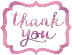 Gift Tags | 50 Pack New Pink Thank You Stickers Giftwrapping Gift Tags